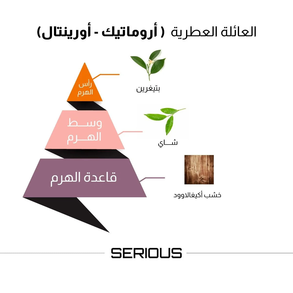 Series Perfume by Al Majed for Oud - 100 ml for Men