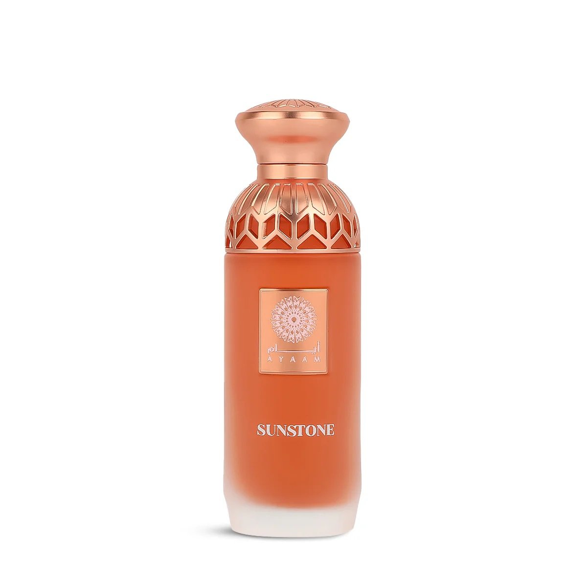 Musk Collection 1 Day - 3 x 80 ml