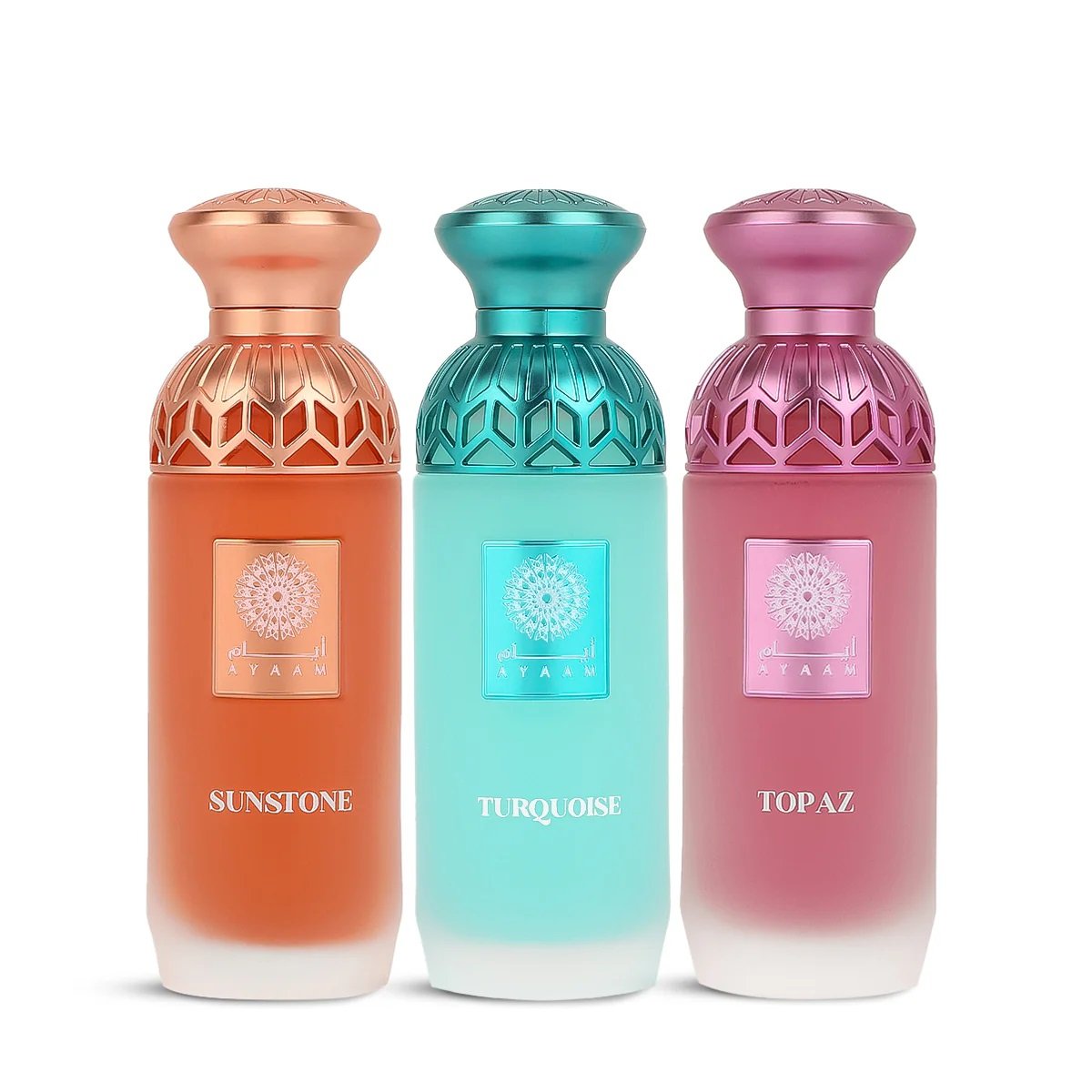 Musk Collection 1 Day - 3 x 80 ml