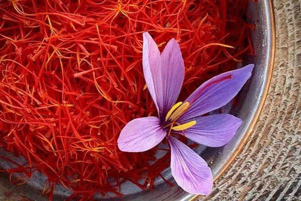 Super Negin Saffron – the highest quality grade in the world