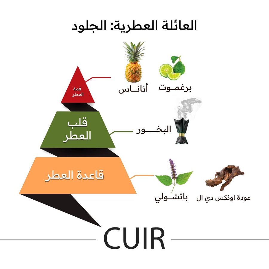 Cuir Perfume by Almajed for Oud - 150ml | Unisex