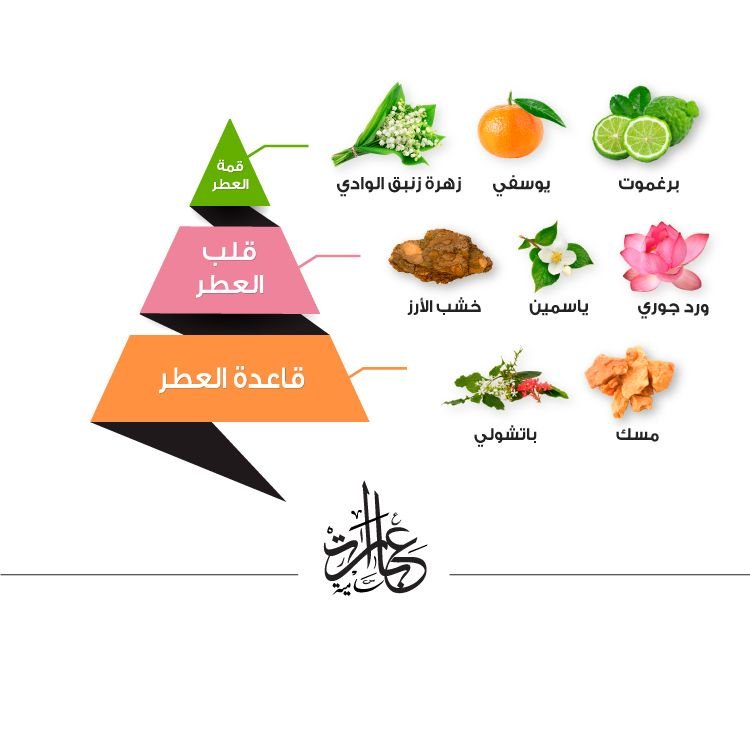 A perfume of noble phrases from Almajd Perfumes - 75 ml for men