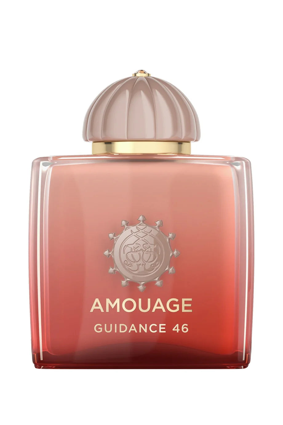 Amouage Guidance 46 Perfume - 100ml | Unisex