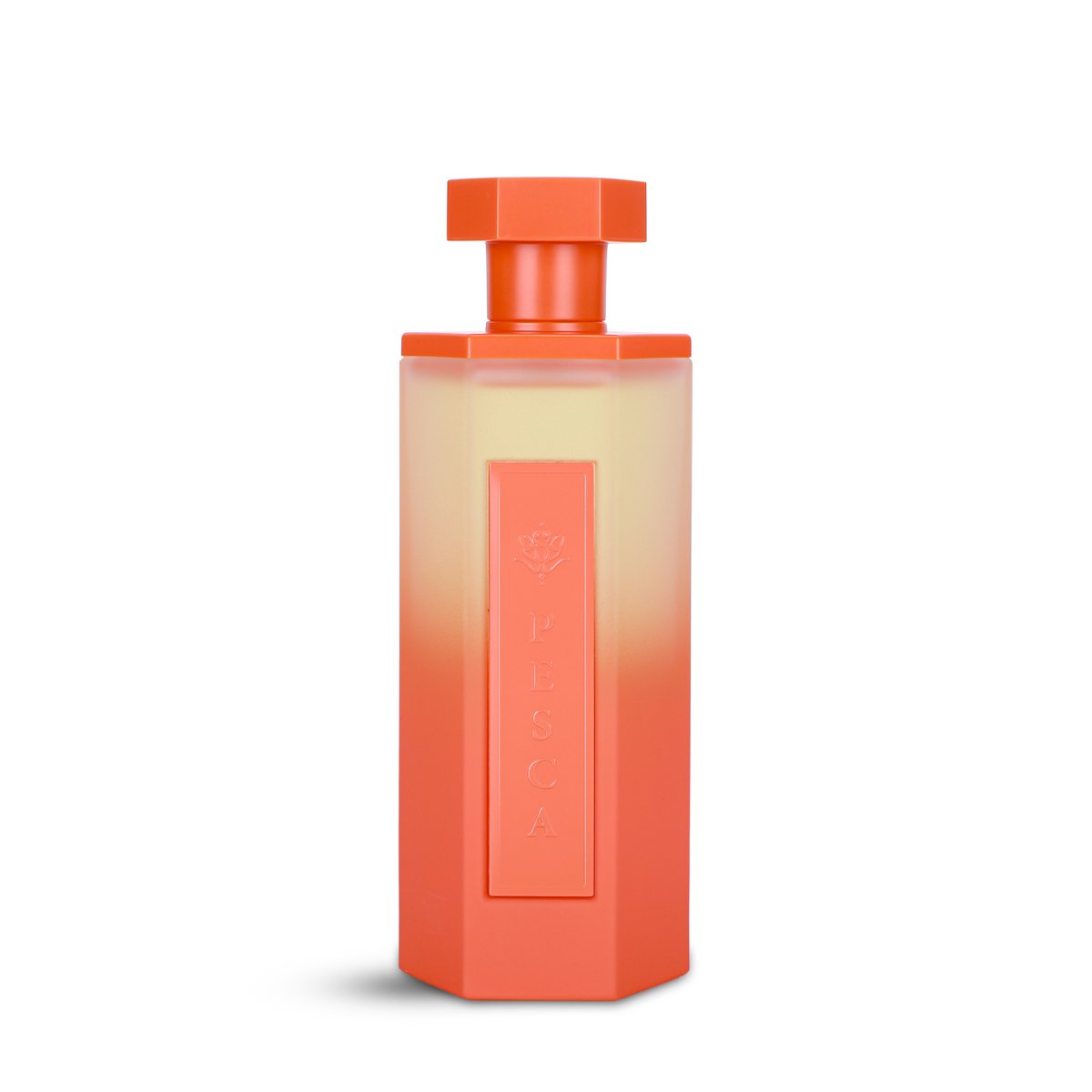 Reef Pesca Perfume - 200ml | Unisex