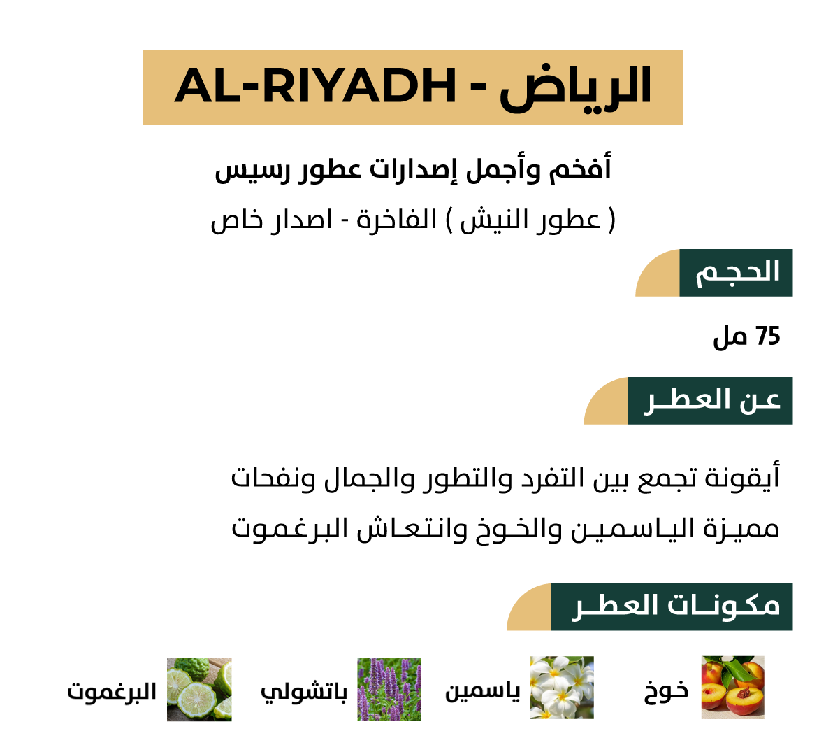 Riyadh Perfume by Rasasi | 75ml | Luxurious Niche Edition