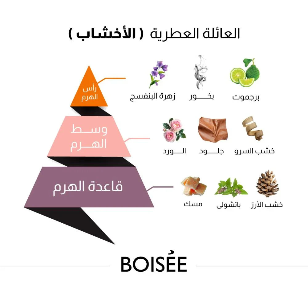 Boise Perfume by Al Majed for Oud - 150ml | Unisex