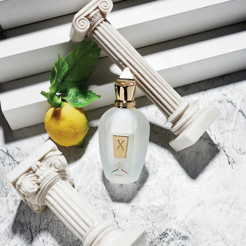 Xerjoff Naxos | Perfume | 100ml | Unisex