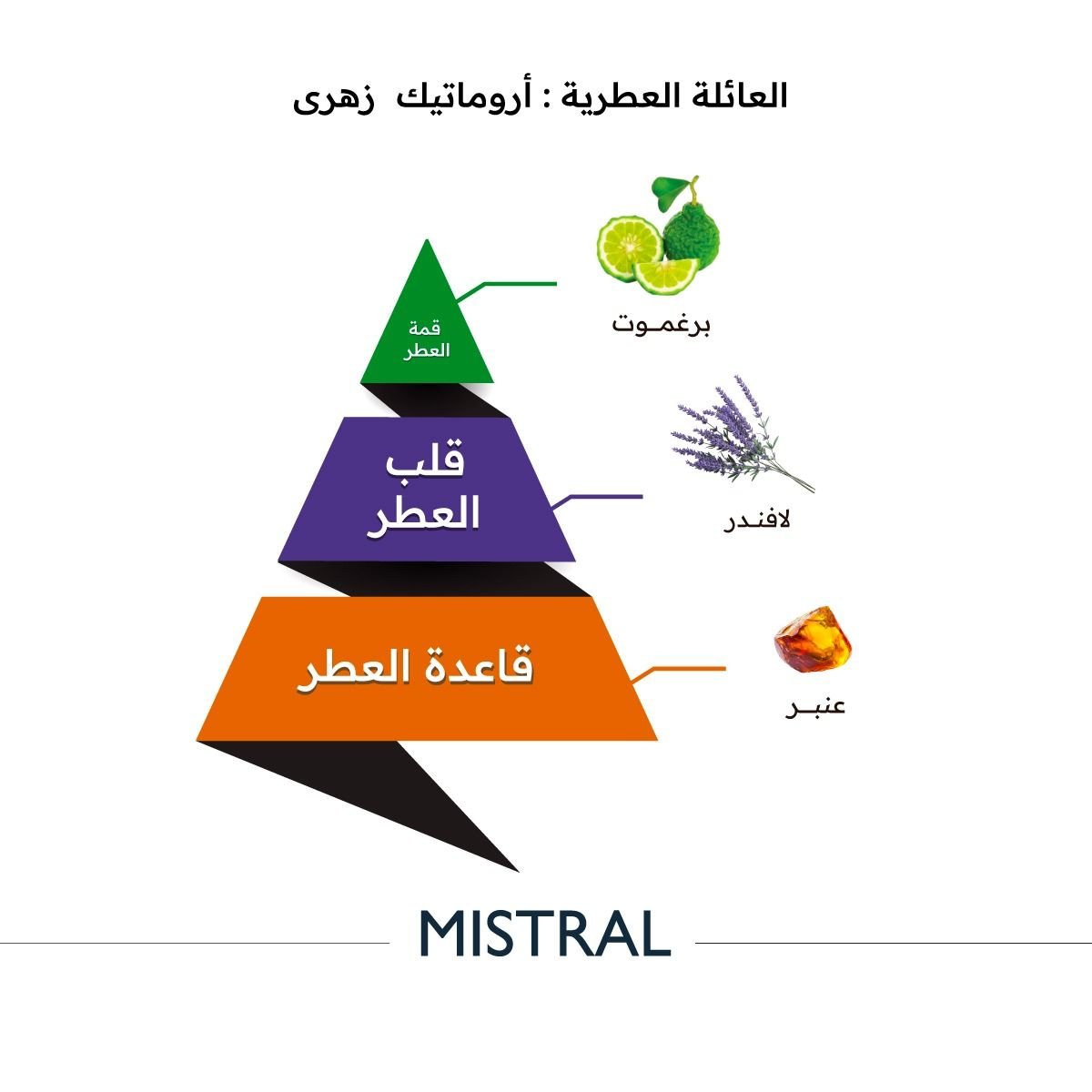 Mistral Perfume by Almajed for Oud - 150ml | Unisex